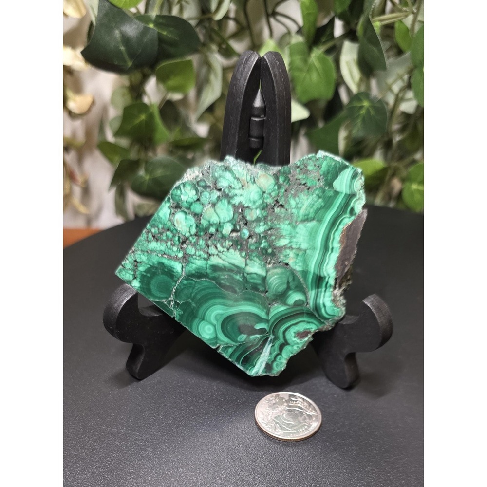 Malachite Slab with Wooden Stand 3" x 2.9", Green Markings Combined with Black